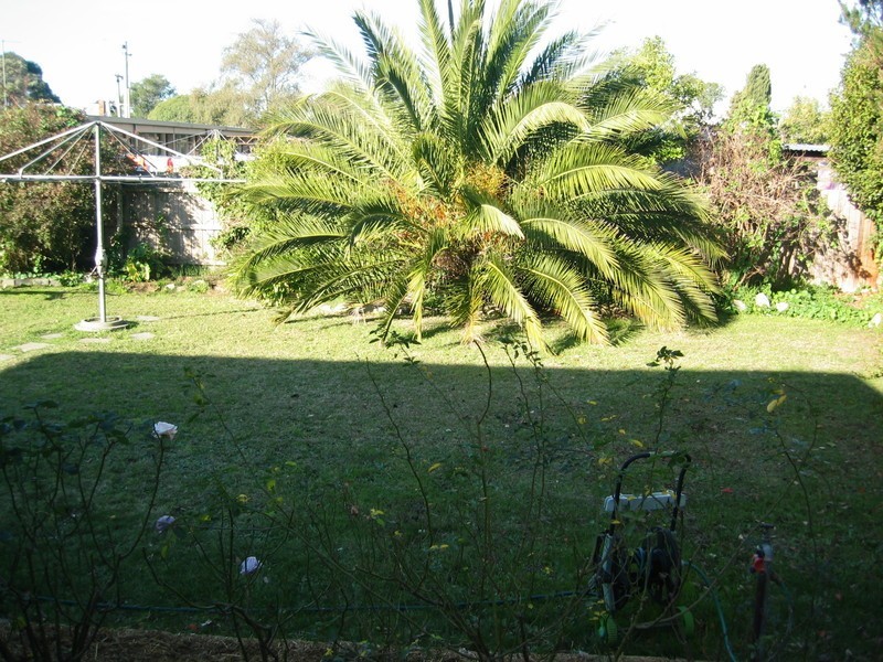 16 Hoyle Street, Morwell VIC 3840