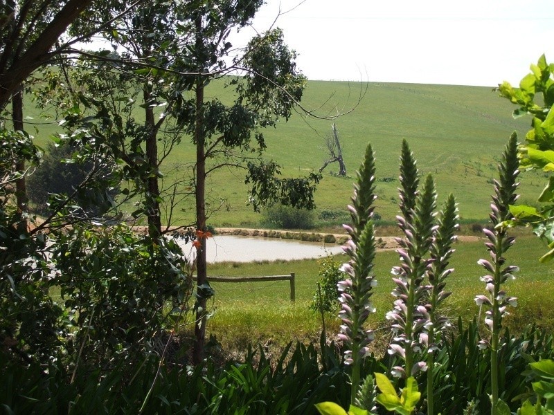 27 Old Thorpdale Road, Mirboo North VIC 3871