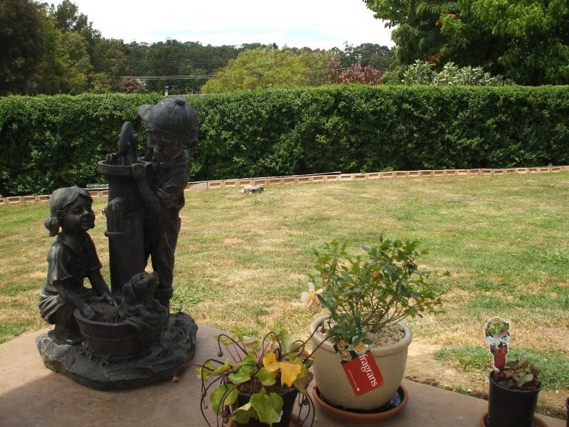 7 Eveline Court, Mirboo North VIC 3871