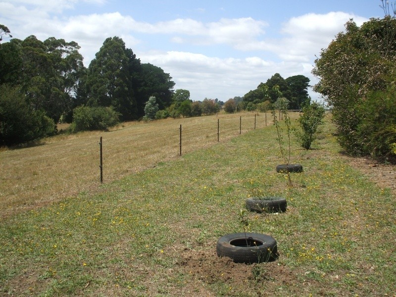 230 Boolarra Road, Mirboo North VIC 3871