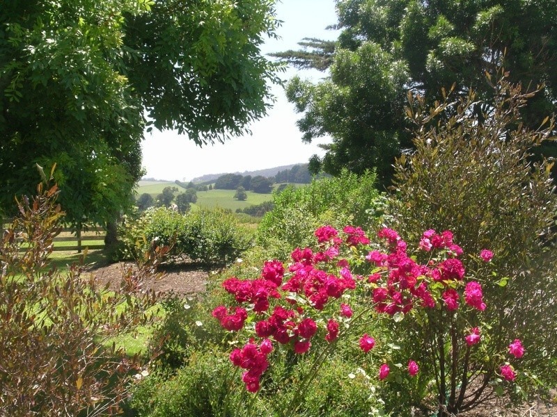 275 St Ellens Road, Mirboo North VIC 3871