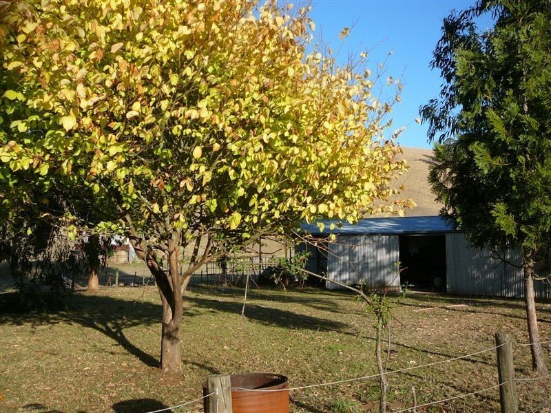 205 Roys Road, Budgeree VIC 3870