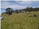 Lot 4 Antonio Road, Yinnar VIC 3869