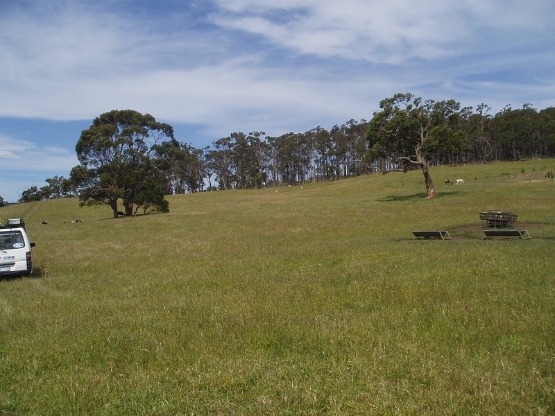 Lot 4 Antonio Road, Yinnar VIC 3869