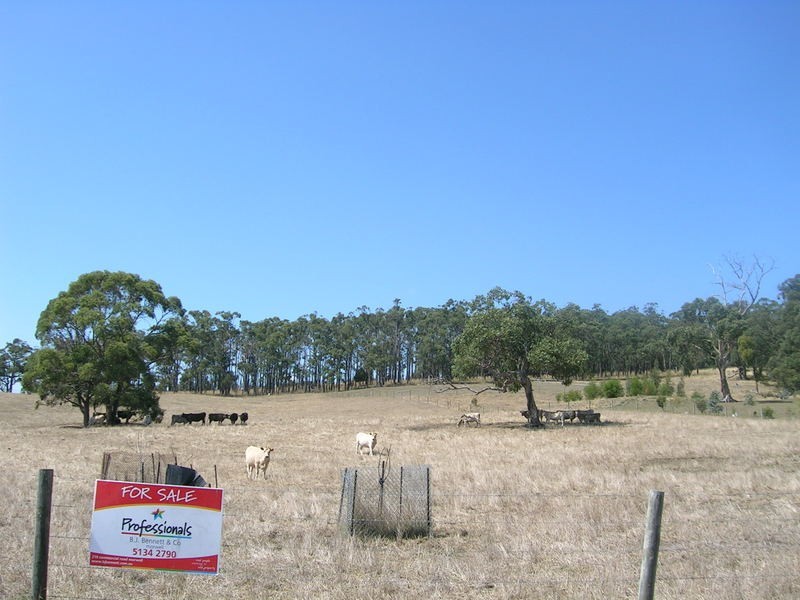 Lot 4 Antonio Road, Yinnar VIC 3869
