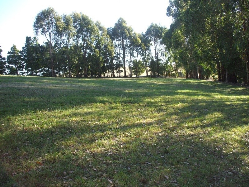 187 Grandridge Road, Mirboo North VIC 3871