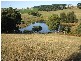 187 Grandridge Road, Mirboo North VIC 3871