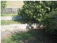 24 Livingstone Street, Morwell VIC 3840