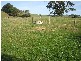 370 Mirboo Road, Mirboo VIC 3871