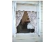 370 Mirboo Road, Mirboo VIC 3871