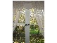 370 Mirboo Road, Mirboo VIC 3871