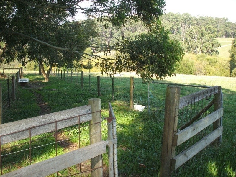 14 Jepson Court, Mirboo North VIC 3871