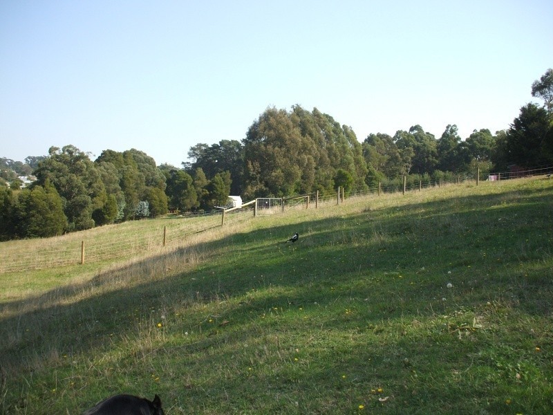 14 Jepson Court, Mirboo North VIC 3871