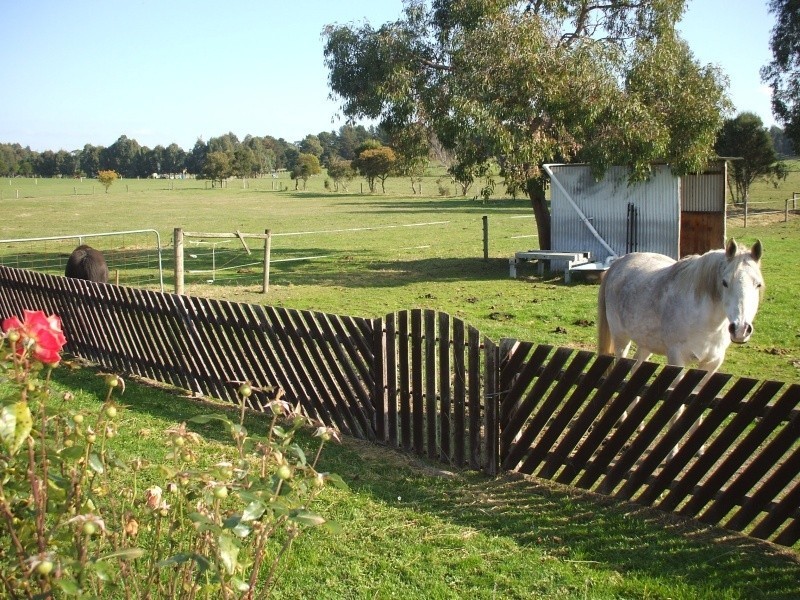 195 McIntosh’s Road, Boolarra VIC 3870