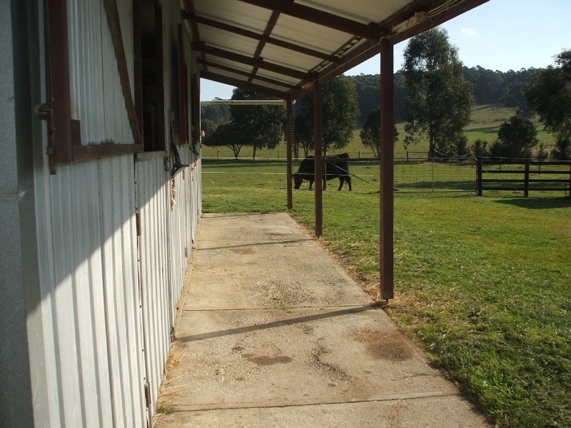 195 McIntosh’s Road, Boolarra VIC 3870