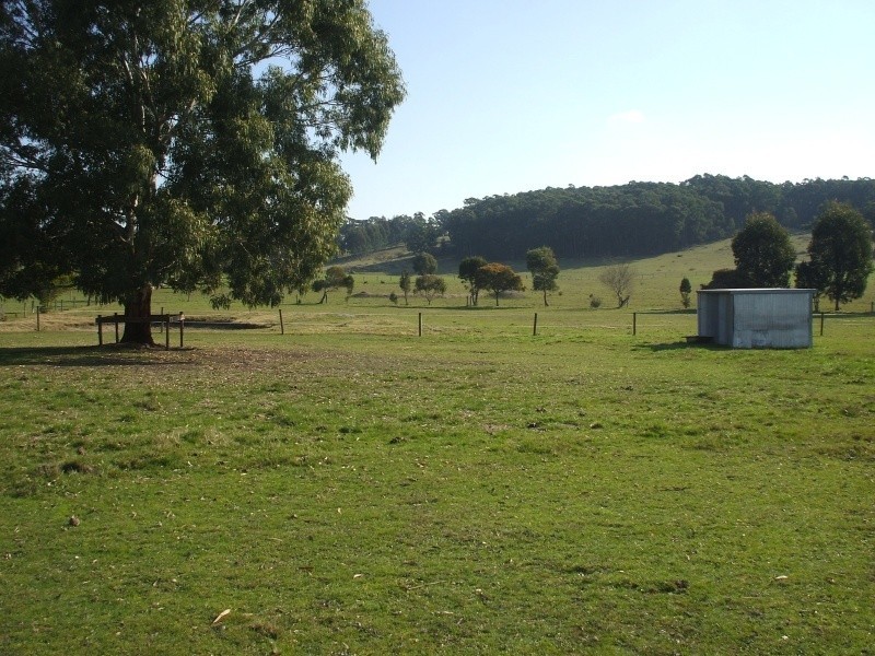 195 McIntosh’s Road, Boolarra VIC 3870