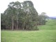 627 Limonite Road, Boolarra VIC 3870