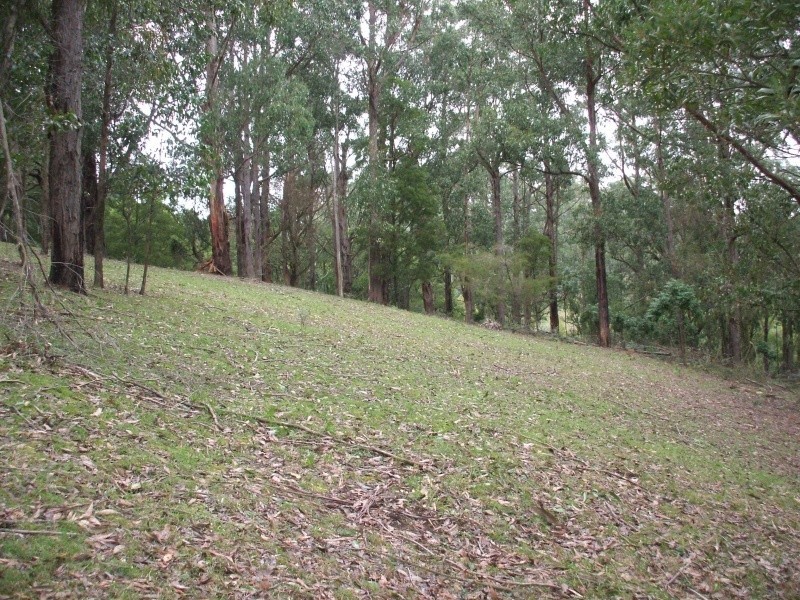 627 Limonite Road, Boolarra VIC 3870