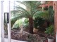 3 Cuthbertson Court, Mirboo North VIC 3871