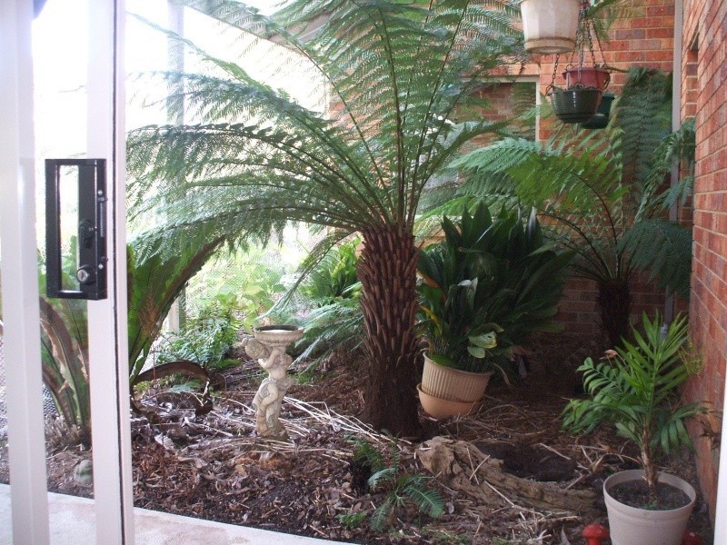 3 Cuthbertson Court, Mirboo North VIC 3871