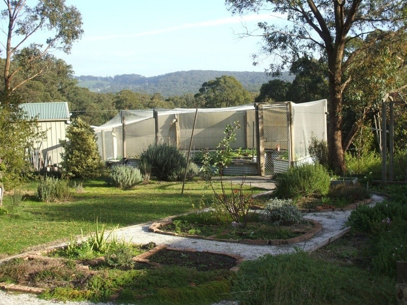 3 Cuthbertson Court, Mirboo North VIC 3871