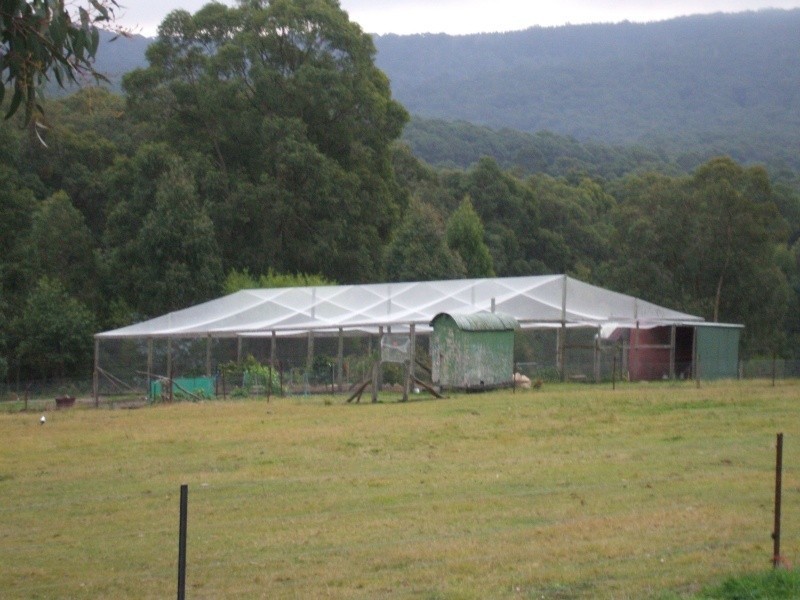 3 Cuthbertson Court, Mirboo North VIC 3871