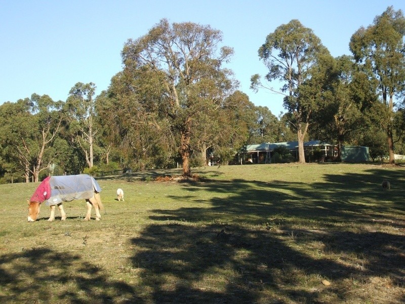 3 Cuthbertson Court, Mirboo North VIC 3871