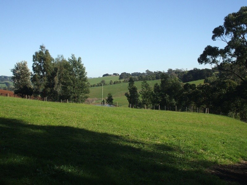 10 Grandridge East Road, Mirboo North VIC 3871