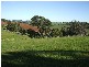 10 Grandridge East Road, Mirboo North VIC 3871