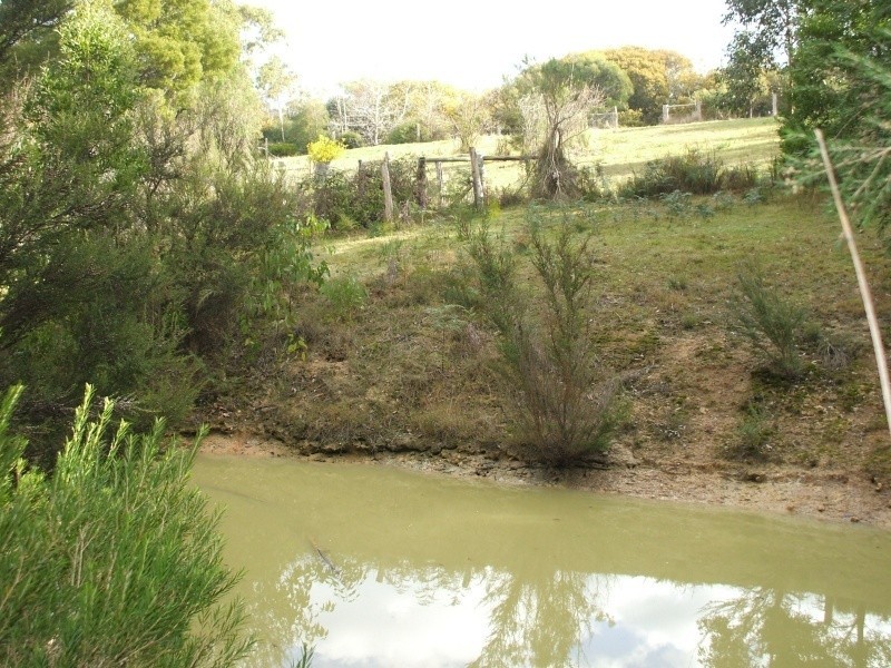 900 Darlimurla Road, Boolarra VIC 3870