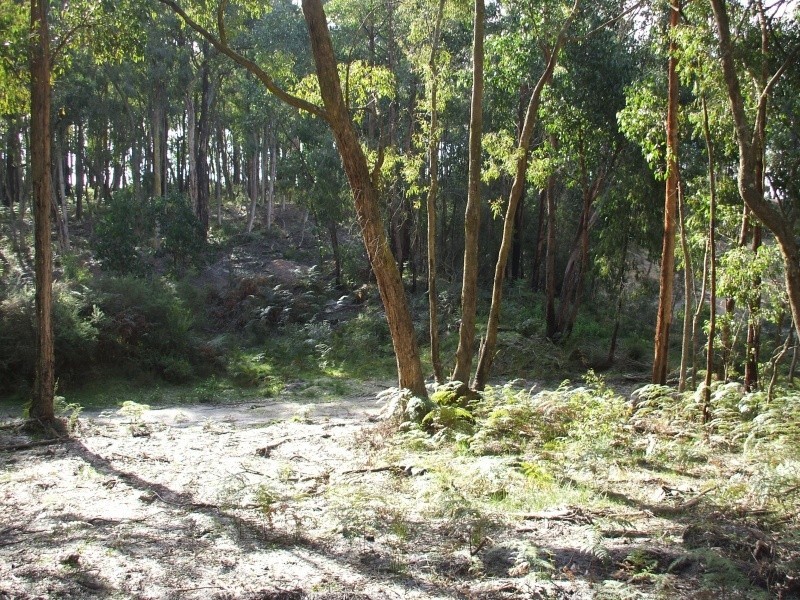 Lot 19 Pincini Court, Boolarra VIC 3870