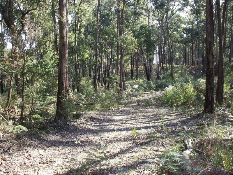 Lot 19 Pincini Court, Boolarra VIC 3870