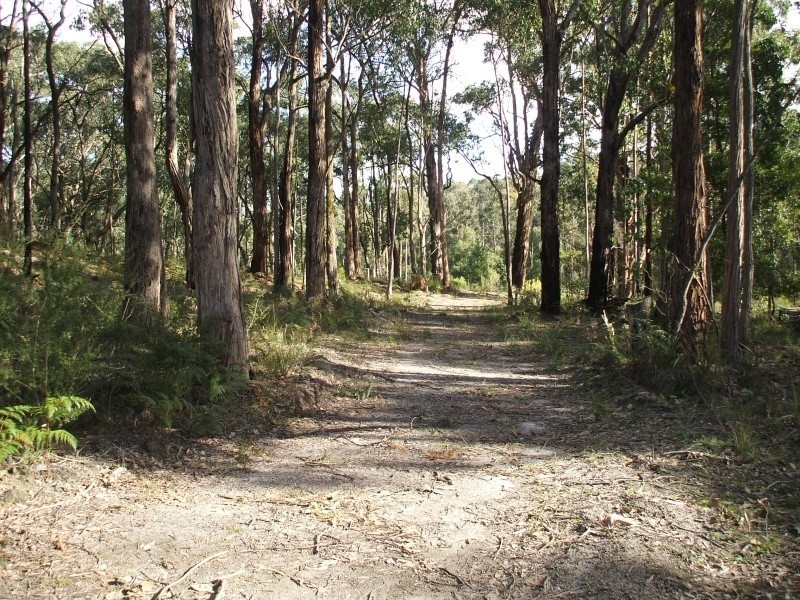 Lot 19 Pincini Court, Boolarra VIC 3870