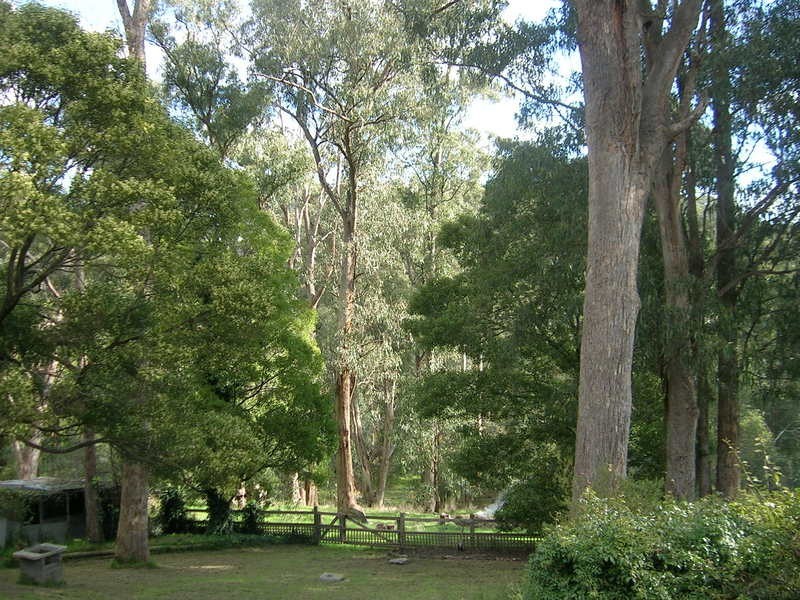20 Evans Road, Jeeralang Junction VIC 3840