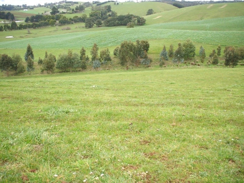 300 Grandridge Road, Mirboo North VIC 3871