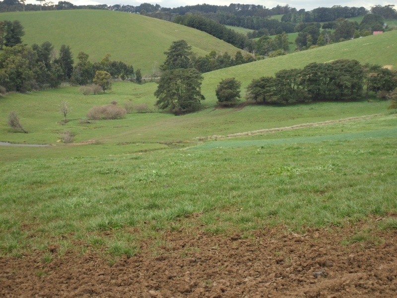 300 Grandridge Road, Mirboo North VIC 3871