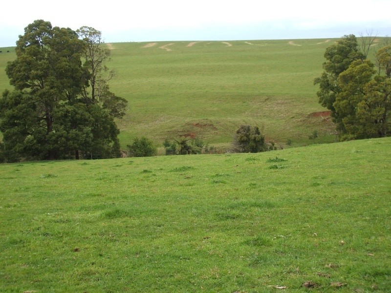 300 Grandridge Road, Mirboo North VIC 3871