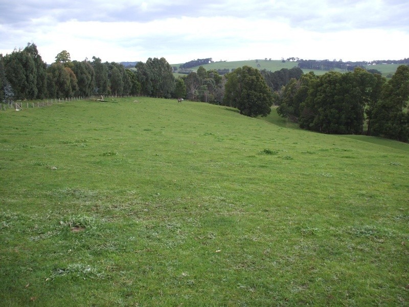 300 Grandridge Road, Mirboo North VIC 3871