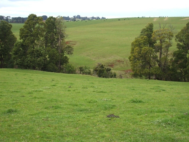 300 Grandridge Road, Mirboo North VIC 3871