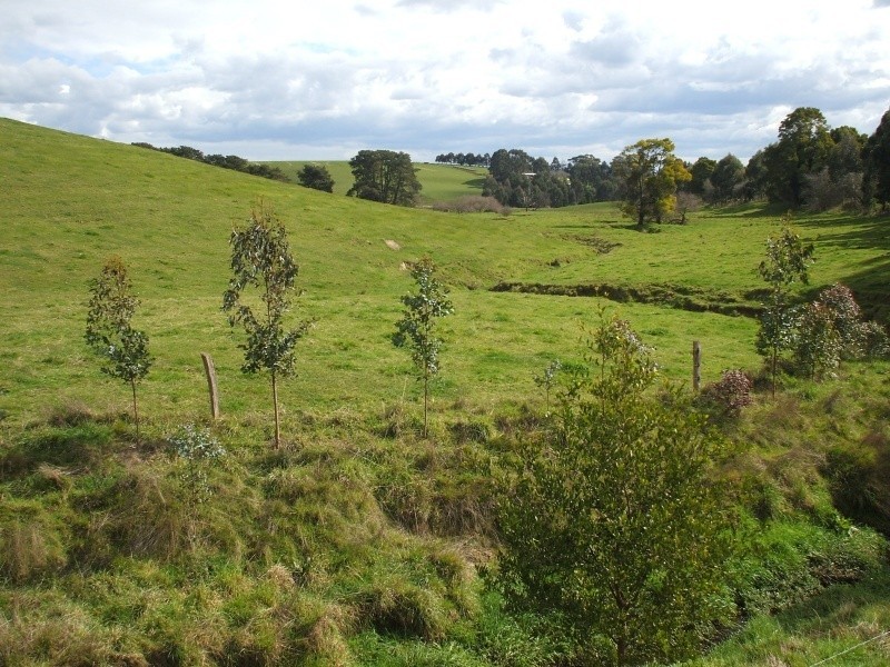 300 Grandridge Road, Mirboo North VIC 3871