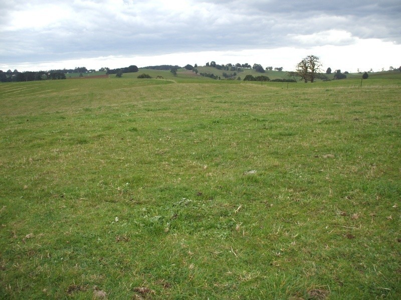 300 Grandridge Road, Mirboo North VIC 3871