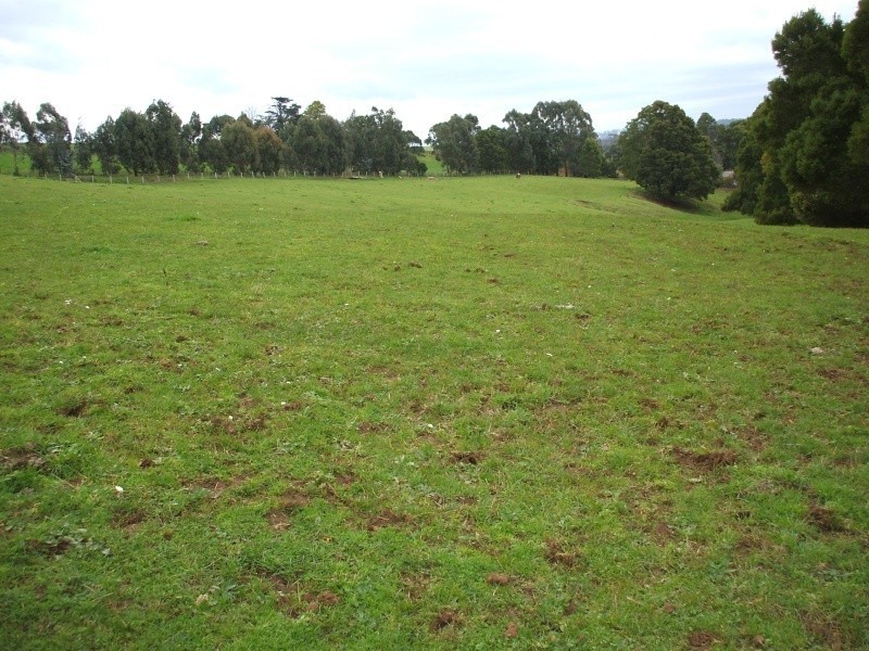 300 Grandridge Road, Mirboo North VIC 3871