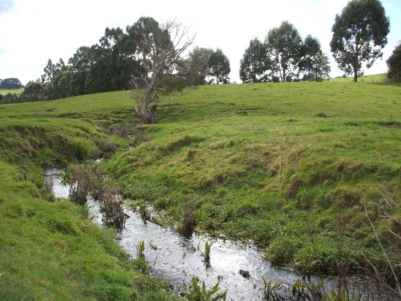 300 Grandridge Road, Mirboo North VIC 3871