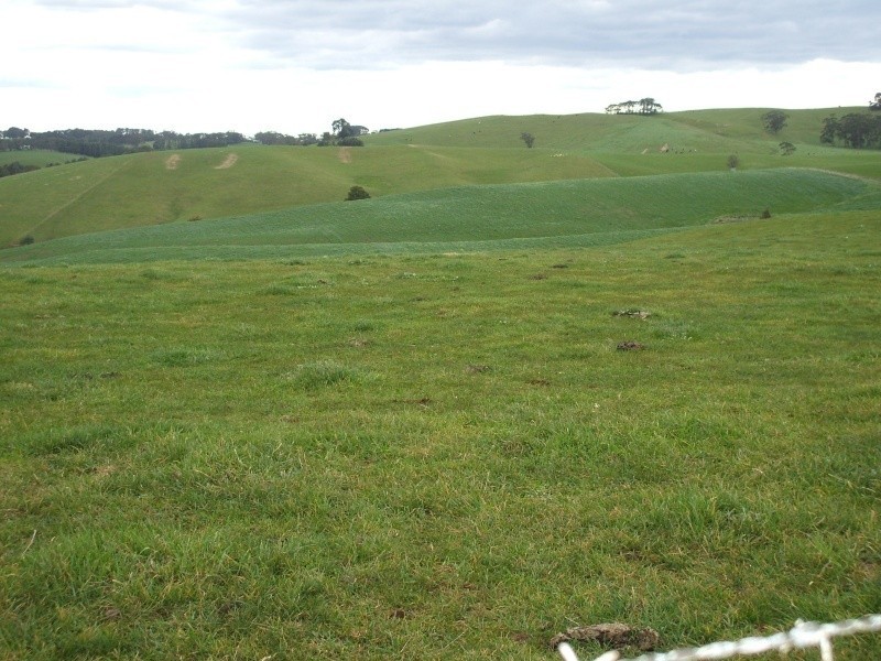 300 Grandridge Road, Mirboo North VIC 3871