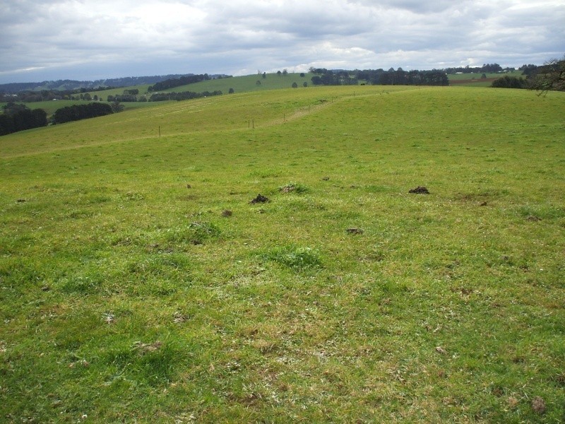 300 Grandridge Road, Mirboo North VIC 3871