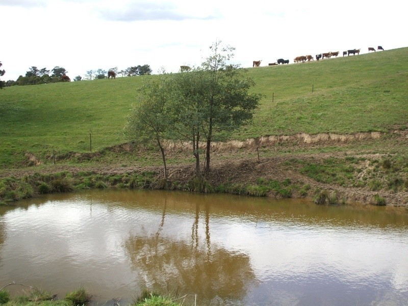 300 Grandridge Road, Mirboo North VIC 3871