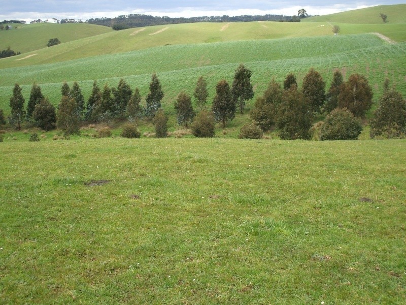 300 Grandridge Road, Mirboo North VIC 3871