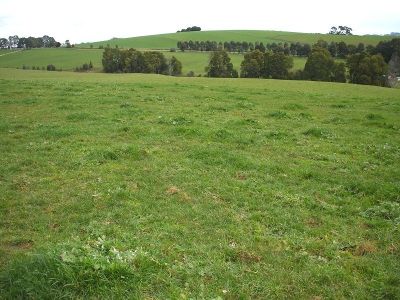 300 Grandridge Road, Mirboo North VIC 3871