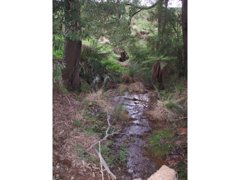 300 Grandridge Road, Mirboo North VIC 3871