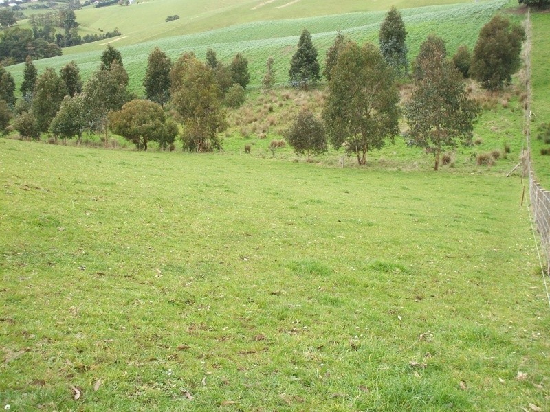 300 Grandridge Road, Mirboo North VIC 3871